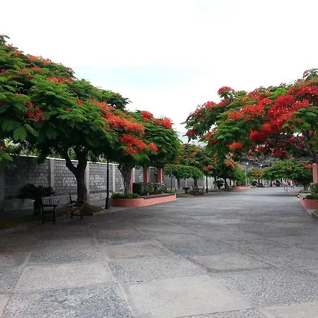 Daire Eurosant Playas *